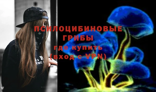 a pvp Гусев