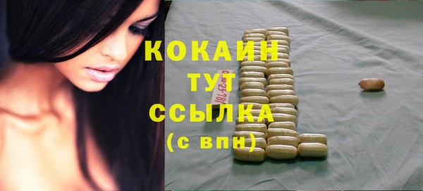 jwh Гусь-Хрустальный