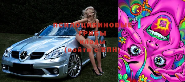 jwh Гусь-Хрустальный