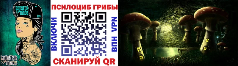 Псилоцибиновые грибы Cubensis  купить   Юрюзань 